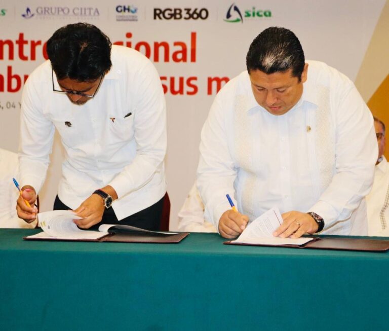 SEDENER y Tec Madero, apuestan por la transición energética