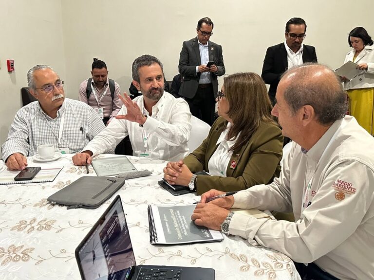 Busca alianza estratégica certificar producción de carbón vegetal y reducir emisiones