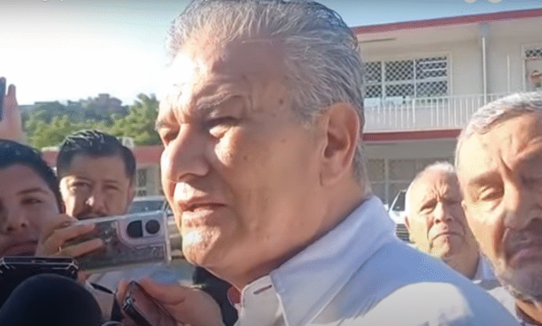 Confirman gaviota con gripe aviar en Tamaulipas; 400 aves han muerto, reportan a voluntario con síntomas respiratorios