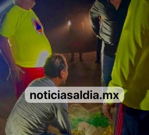 ¡Cae el Cocodrilo de Miramar!