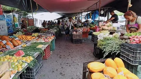 Regreso a Clases «Pega» a Mercados Rodantes