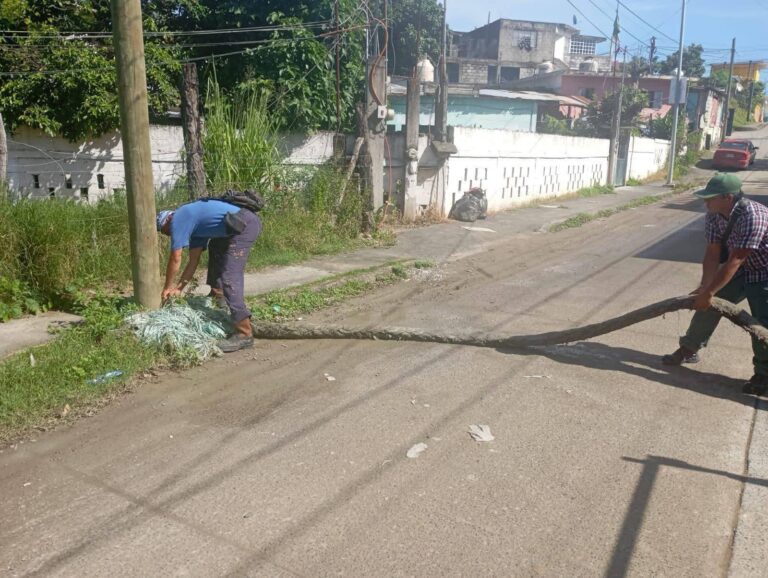 Retiran cabos de amarre usados como reductores de velocidad en Tampico