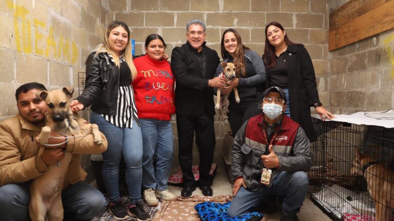 Protege Gobierno de Altamira a animales en situación de calle