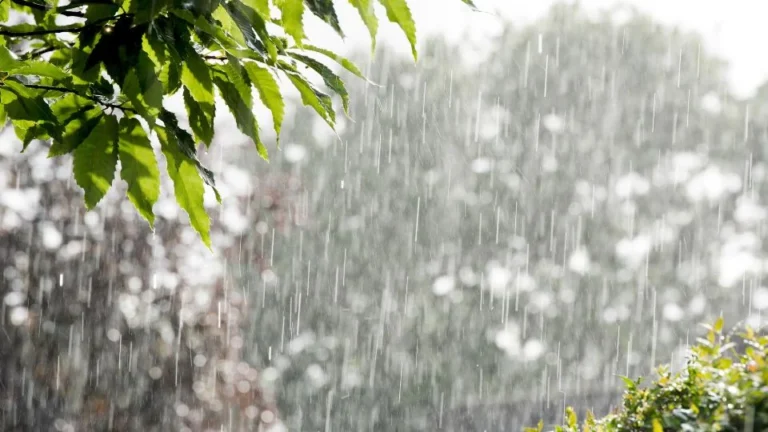 Seguirán las lluvias? Nuevo frente frío se acerca a Nuevo León