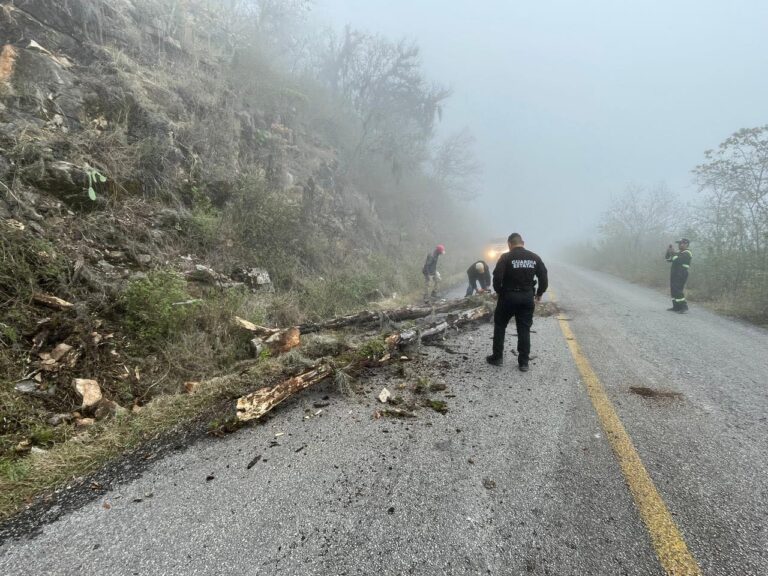 Árbol caído bloquea la carretera, Tula Ocampo, guardia estatal, restablece la circulación