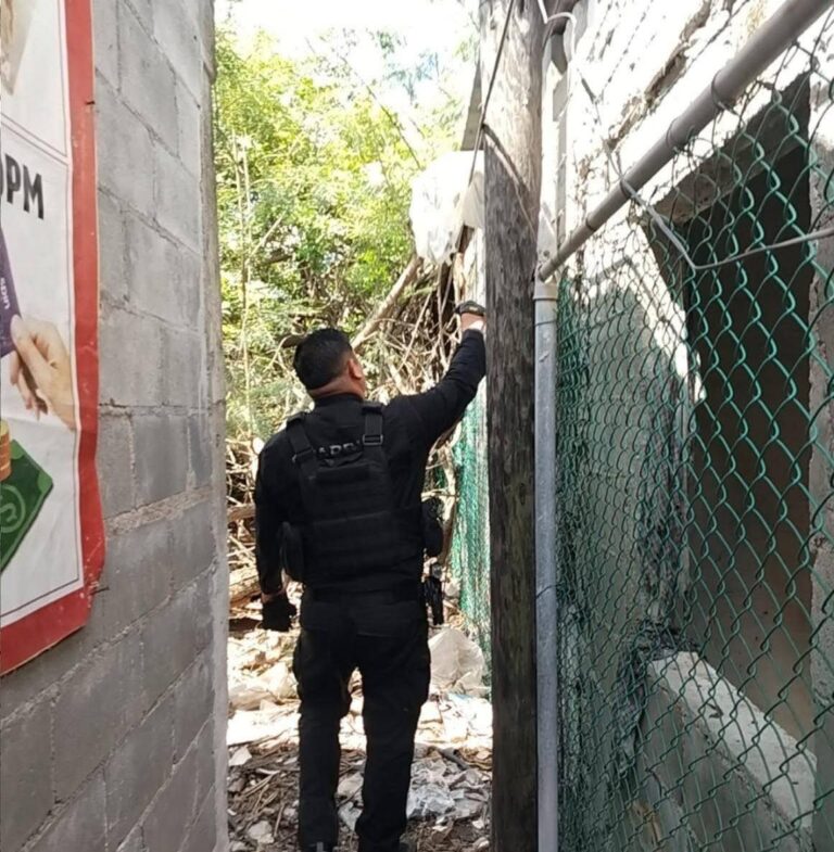 Cae narcomenudeo en Matamoros! Guardia Estatal revienta escondite con 117 dosis de marihuana