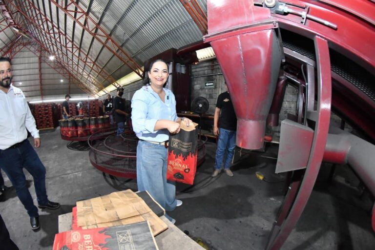 Senadora Olga Sosa reconoce como ejemplo nacional programa de carbón vegetal Hecho en Tamaulipas.*