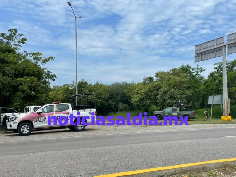Hallan cuerpo a un costado de la carretera Tampico-Mante; autoridades acordonan la zona en Altamira.