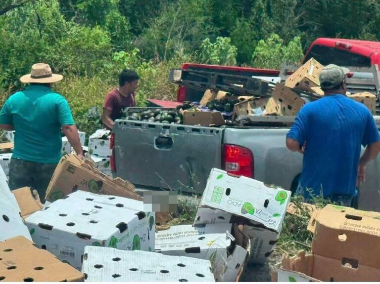 Vuelca tráiler cargado de aguacates en la carretera parte de la mercancía fue retirada