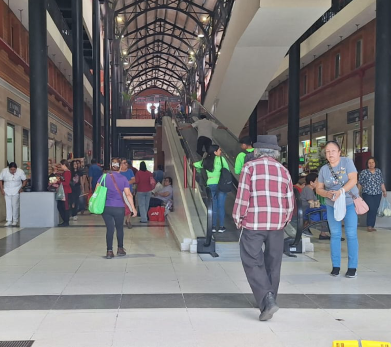 Mercado de Tampico suma 10 semanas con alta afluencia y mantiene saldo blanco