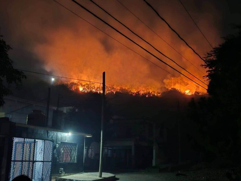 Fuego y humo desatan alarma en Ciudad Victoria; vecinos señalan a presunto pirómano