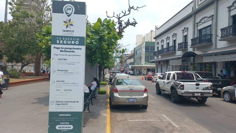 Analiza Tampico ampliar parquímetros para retirar gradualmente a los franeleros