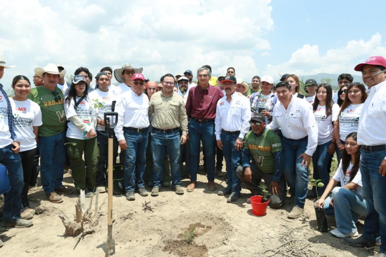 Tamaulipas participa en Jornada Nacional de Reforestación; se plantarán 15 mil árboles: Américo