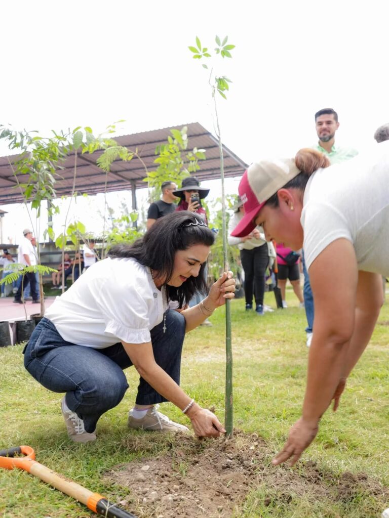 Gobierno de Tampico se suma a Jornada Nacional de Reforestación, más de 18 mil árboles se han sembrado a la fecha