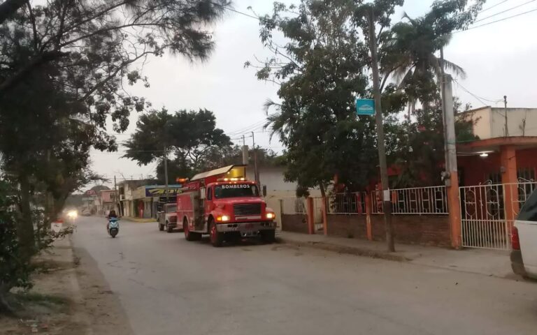 Se alborota el avispero y Bomberos les hacen frente en Tampico